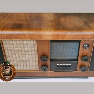 Antique Radio (201)