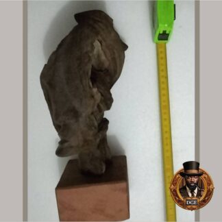 Brown Wooden Head Statuette (194)