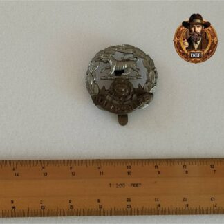 Hampshire Regiment Cap Badge (161)